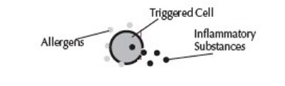 Image-one (Image 1)