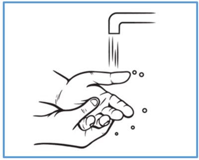 Image (Bondlido 09)