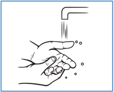 Image (Bondlido 11)