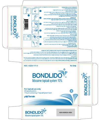 Principal Display Panel (28 Pouch Carton)