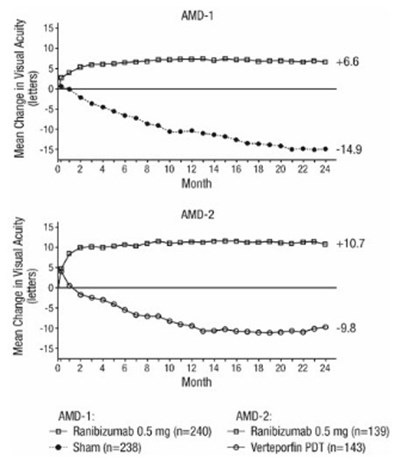 Figure 1 (Cimerli 06)