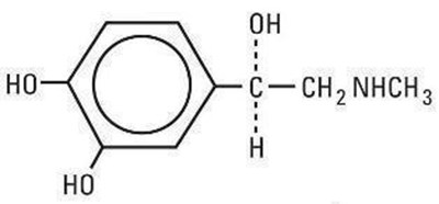 epinephrine-structure.jpg structure - epinephrine structure