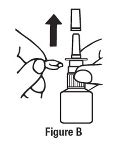figure-b.jpg - figure b