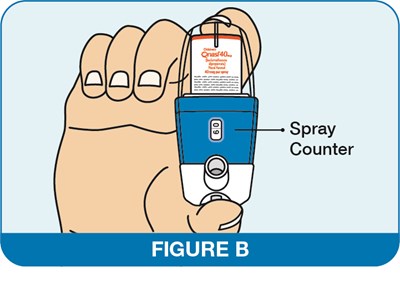 Figure B (Image 31)