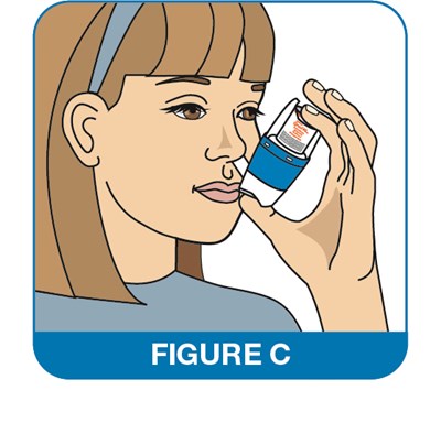 Figure C (Image 32)