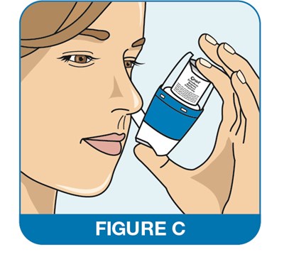 Figure C (Image 5)