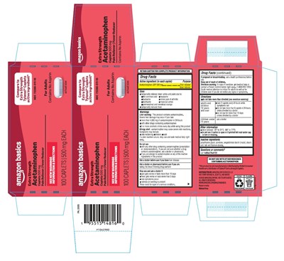 Package Label-principal Display Panel 500 mg (100 Caplets Container Carton) (Acetaminophen Fig2)