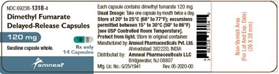 dimethyl-fumarate-dr-capsules-3.jpg 1 - dimethyl fumarate dr capsules 3
