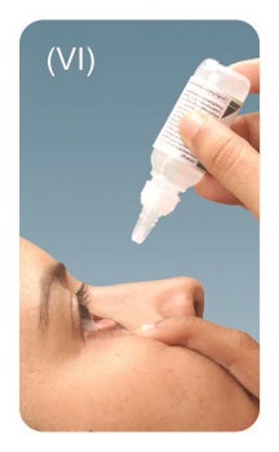 Fig 6 (Dc84116e Aaa2 4ce5 A382 729fb6d4af6e 07)