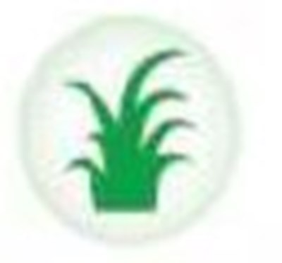 image-06.jpg Image 6 - image 06