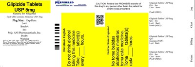 Glipizide Tablets Usp 5mg (Label 5mg)