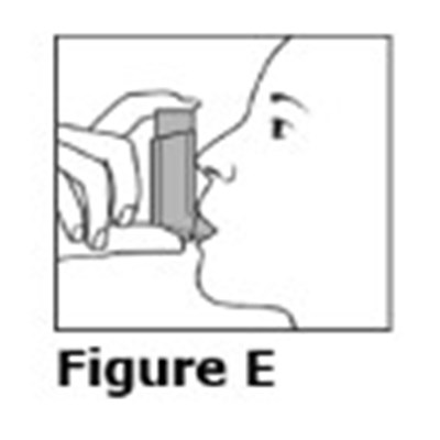 Figure E (Trimbow 0b)