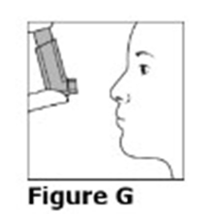 Figure G (Trimbow 0d)