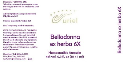 BelladonnaExHerba6Ampules.jpg BelladonnaExHerba6Ampules