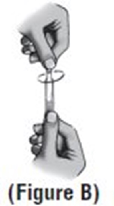 Figure B (Image 07)