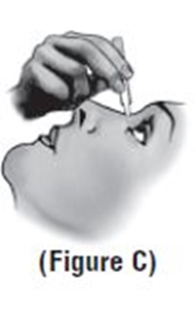Figure C (Image 08)