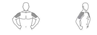 The structural formula in Figure 1. Application Sites for Testosterone Gel 1.62% - image 1