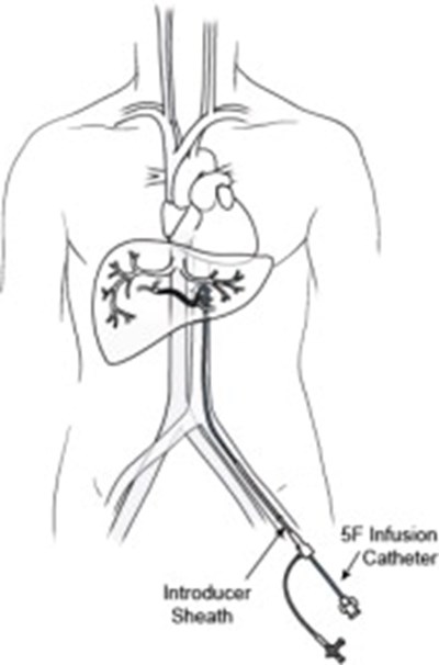 Figure (Hep11 0001 34)