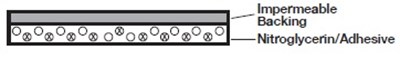 Cross Section Of System (Nitroglycerin Patch 02)