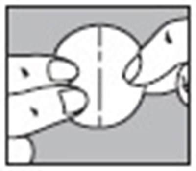 Application Figure Image (Nitroglycerin Patch 08)