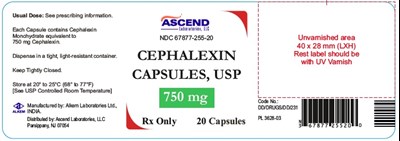 cephalexin 750mg 20cap