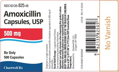 Image Description (Amoxicillin Capsules 500mg 500s Label)
