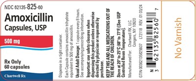 Image Description (Amoxicillin Capsules 500mg 60s Label)