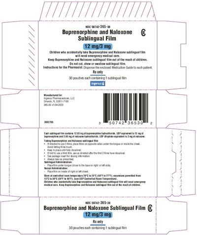 Ctn12mg (Ctn12mg)