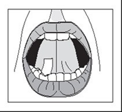 Figure3.jpg (Figue3)