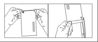 Figure2.jpg (Figure2)