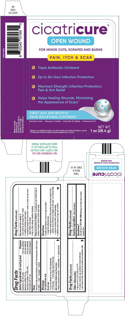 Principal Display Panel (28.4 g Tube Carton)