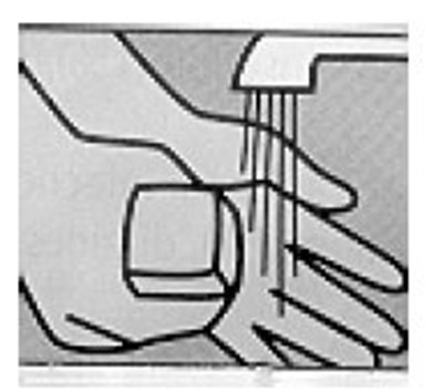 Washhands.jpg (7556cd96 134e 4aaa Bf2d 7b6f9c8133c9 02)