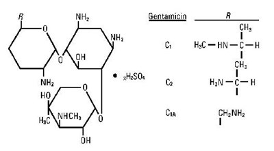 Gentamicin 02