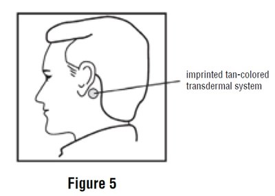 Image Description (Figure5)