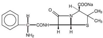 Image Description (Structure)