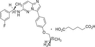 Figure 1 (Ibt00 0001 01)