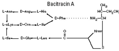 Bacitracin A (Strucural Formula) - 5cfad642 e7d0 4451 8bd4 29665208ac8d 01