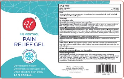 4% Menthol Pain Relief (52000439 1)