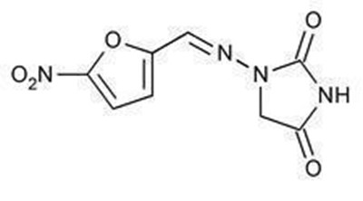 image description - 9b31e56c 70eb 4797 b2d0 1f05dc54bf48 01