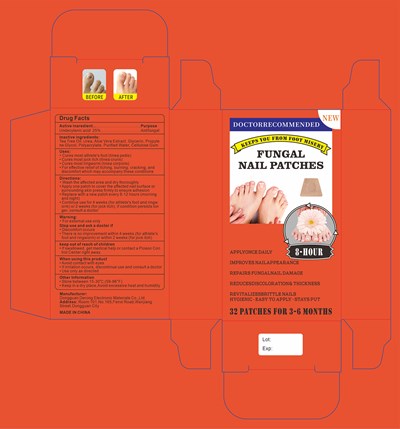 Principal Display Panel (Label)