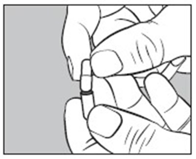 image description - image02