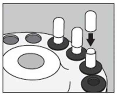 image description - image05