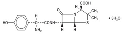 Amoxicillin Chemical Structure (Amoxiclav Str1)