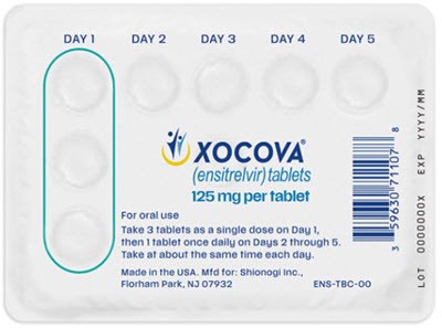 Image (Xocova 06)