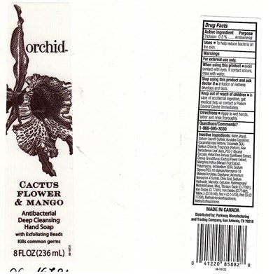 Image Of Cactus Flower And Mango Antibacterial Deep Cleansing Hand Sp (Orc8)