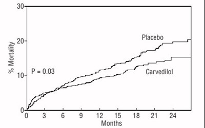 Fig 3 (Image 4)