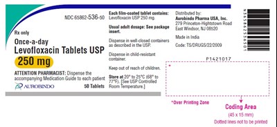levofloxacin-fig1.jpg PACKAGE LABEL-PRINCIPAL DISPLAY PANEL - 250 mg (50 Tablet Bottle) - levofloxacin fig1
