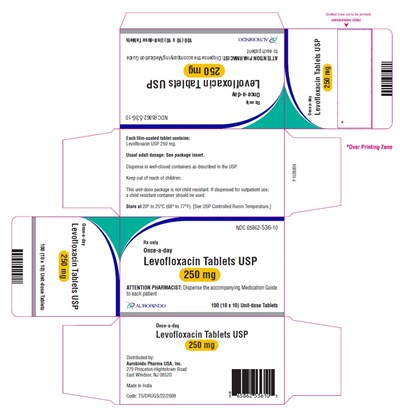 levofloxacin-fig2.jpg PACKAGE LABEL-PRINCIPAL DISPLAY PANEL - 250 mg Blister Carton (10 x 10 Unit-dose) - levofloxacin fig2