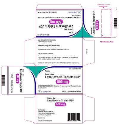 levofloxacin-fig4.jpg PACKAGE LABEL-PRINCIPAL DISPLAY PANEL - 500 mg Blister Carton (10 x 10 Unit-dose) - levofloxacin fig4