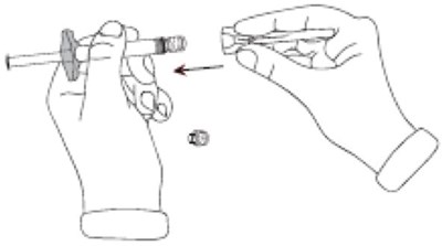 Figure D (Ica00 0002 07)